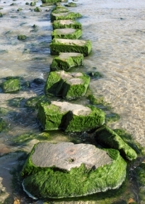 Stepping stones to success